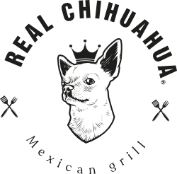 Real Chihuahua
